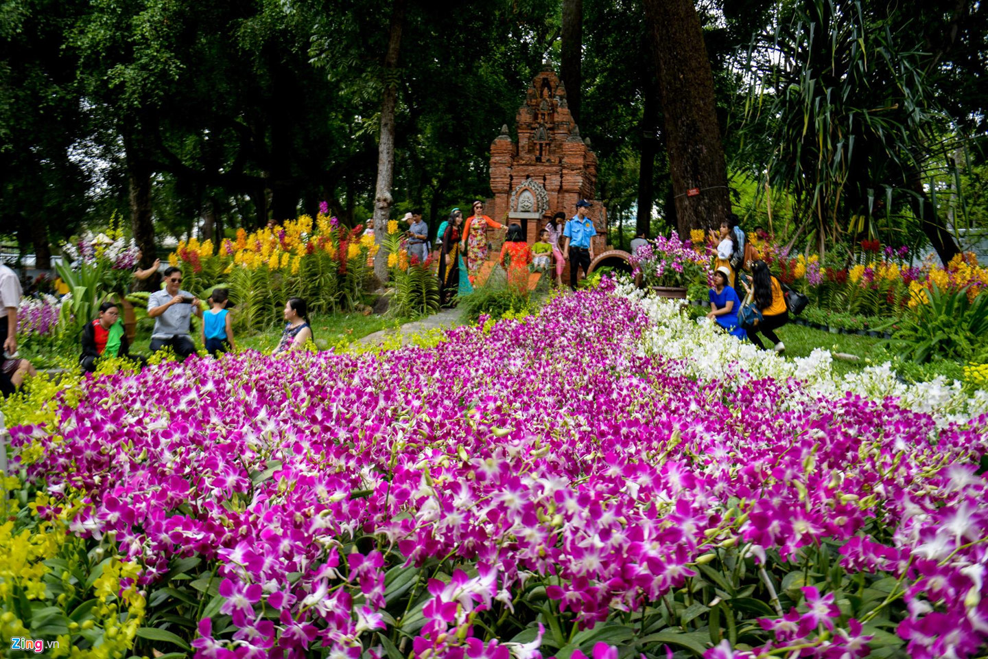 Người Sài Gòn đổ xô đi ngắm hoa lan khi tiết trời dịu mát